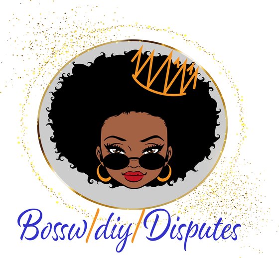Boss w/ DIY Disputes logo